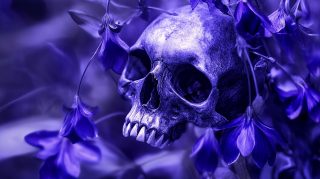 Unique Skull and Purple Flowers Photos for Desktop