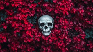 Stunning Skull-Rose Background for Ultra HD Desktops