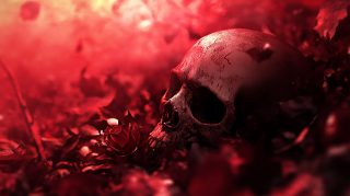 Artistic Skull and Rose HD Wallpaper Collection