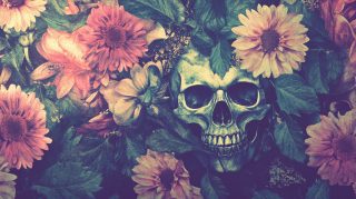 Free Wallpaper for Desktop: Surreal Floral Aesthetics