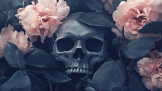 Stunning Surreal Flowers and Skulls PC Wallpapers