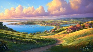 Vineyard Vines Wallpaper: Stunning Realistic HD Background