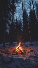 Beautiful Winter Campfire Picture for Android Users